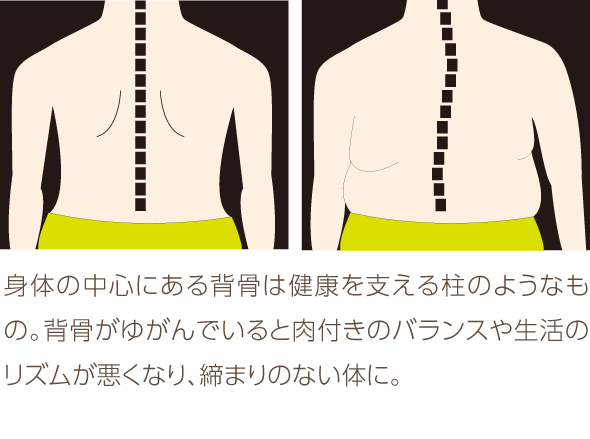 背中スッキリ引き締め 腰回り お腹にも