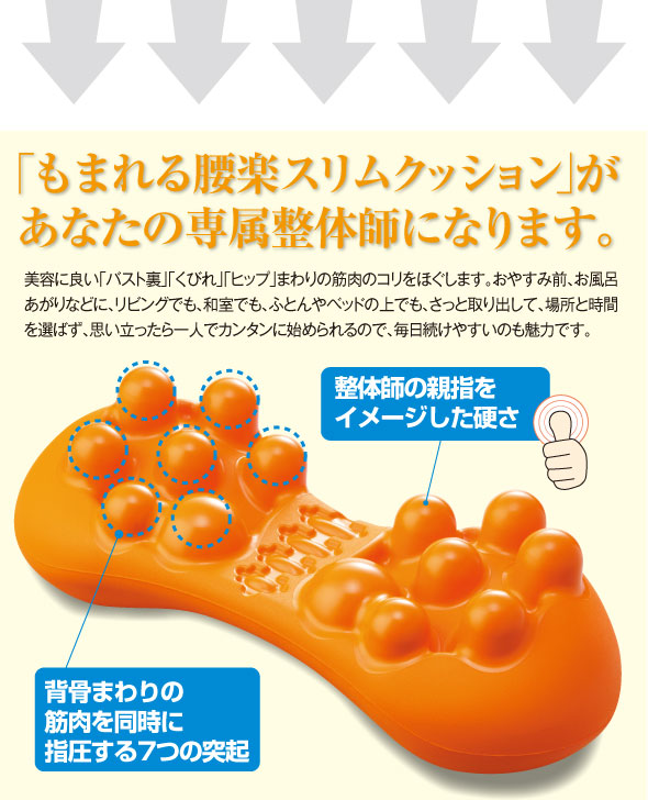 専属整体師