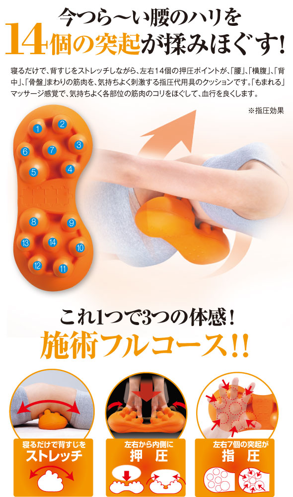 14個の突起 腰のハリ