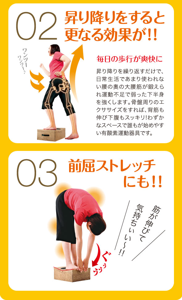 リバウンドしにくい 有酸素運動 基礎代謝力向上 前屈ストレッチ