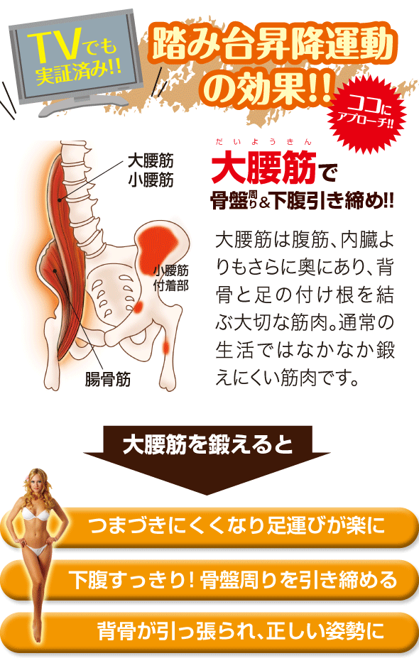 TVでも実証済み 大腰筋を鍛える 骨盤&下腹引き締め