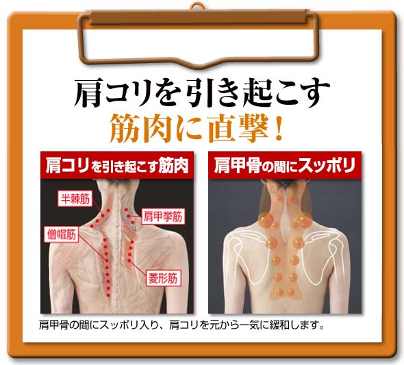 肩こりを引き起こす 筋肉 直撃