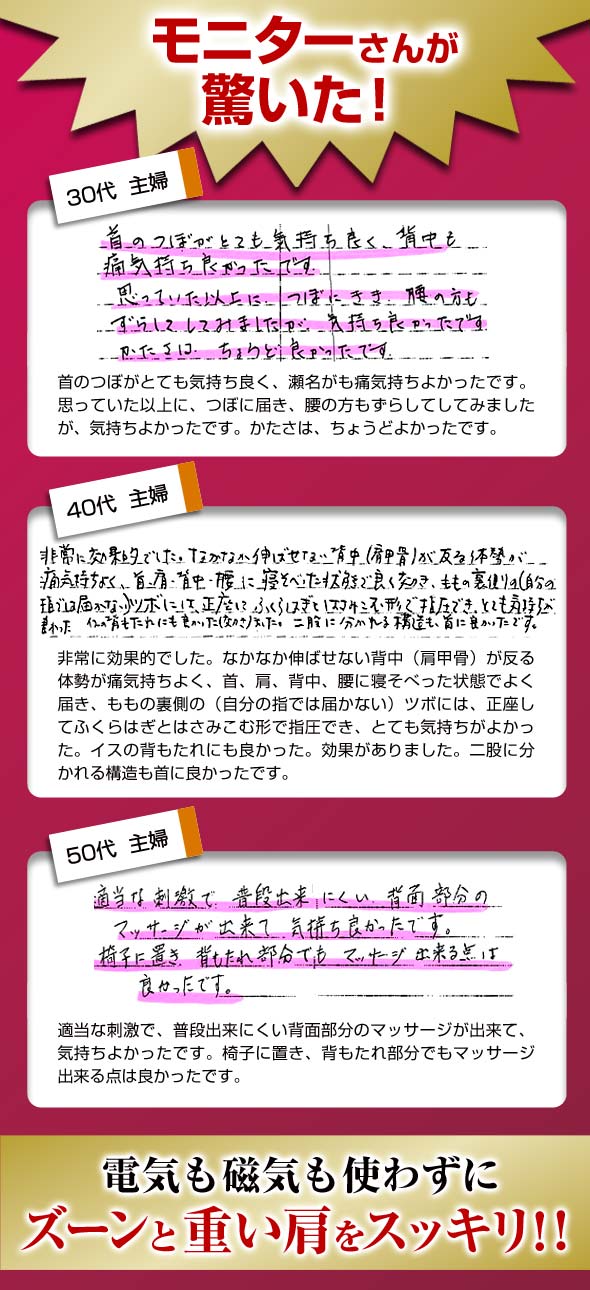 モニターさんが驚いた! モニターの声