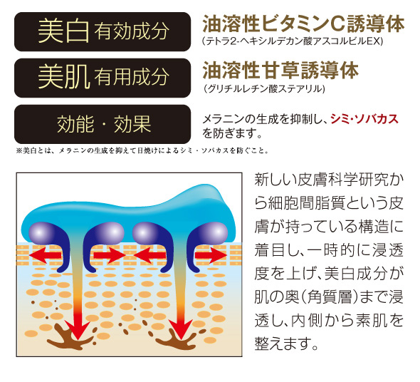 はるひろのお悩み備忘録 化粧しながら美白する ピンライトヴェール