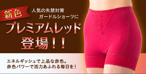 骨盤底筋ショーツ モレジェンヌ