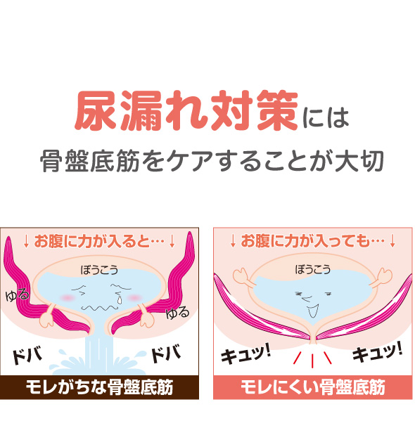 骨盤底筋をサポート 尿漏れ解消