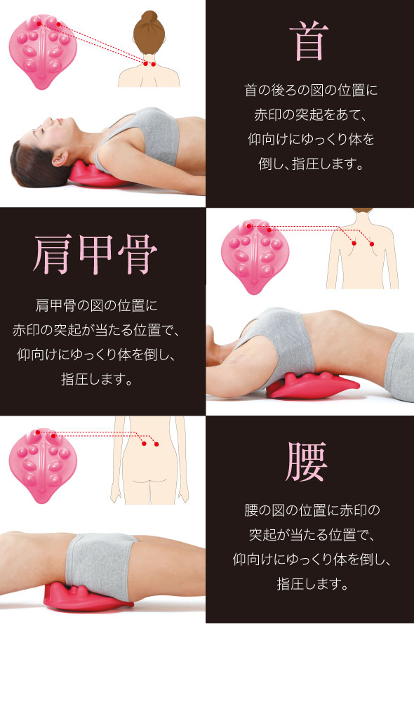 首・肩甲骨・腰