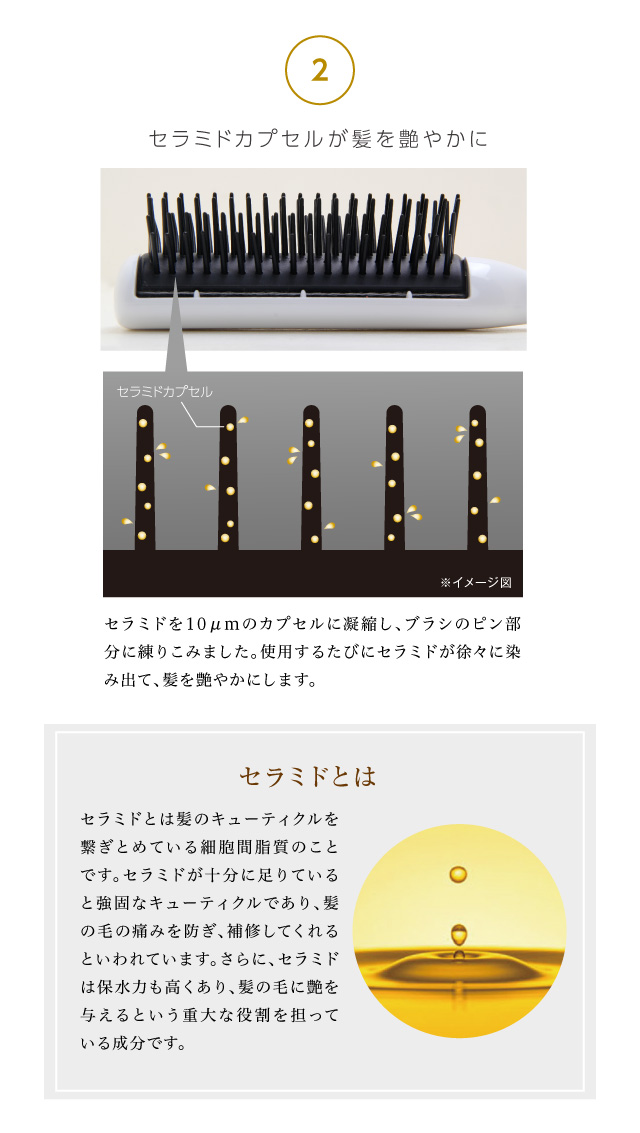 セラミド配合