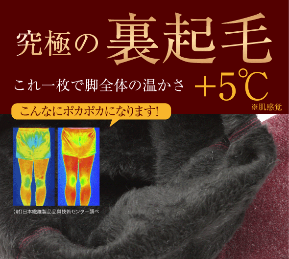 究極の裏起毛