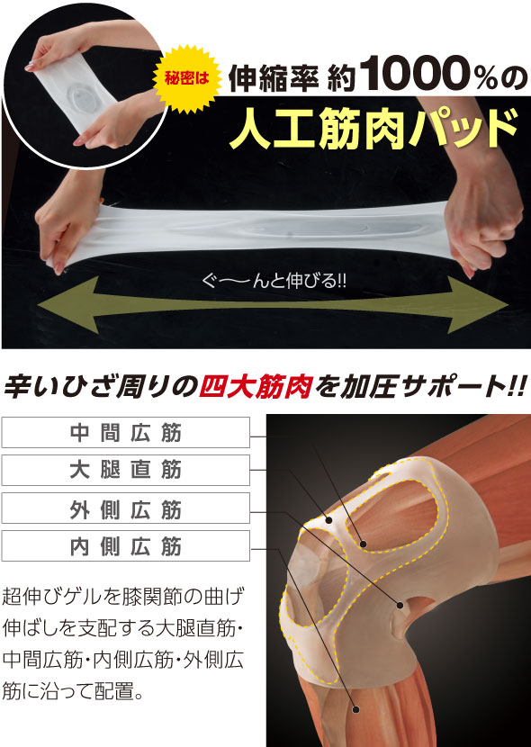 人工筋肉パッド