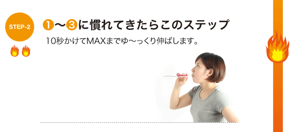 使用方法 ステップ2
