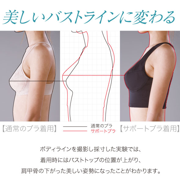 美しいバストライン