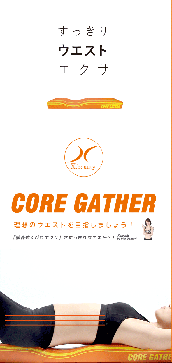 PROIDEA core gather