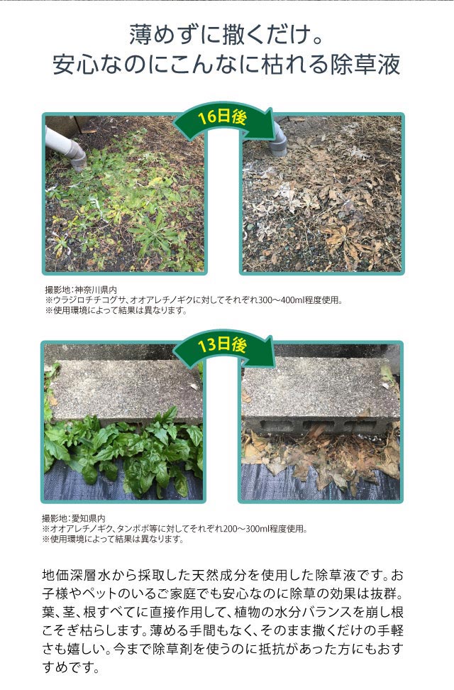 楽天市場 除草剤 無害 草取り 雑草 芝 芝生 安全 ガーデニング 無農薬 優しい 枯らす 天然成分 環境 ギフト プレゼント 庭師さんのミネラル 除草液 セール 専門家と創る美容健康 プロイデア