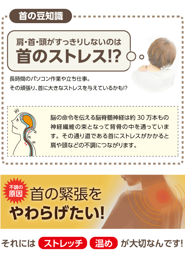 楽天市場 首こり マッサージ 首 こり 解消グッズ 肩こり 湯たんぽ 枕 解消 マッサージ器 温め 肩凝り 肩コリ 肩 ストレッチャー ストレートネック スマホ首 矯正 ツボ押し 指圧 ほぐし 血行 ギフト プレゼント ホット首ストレッチャー セール 専門家と創る美容健康